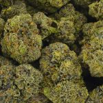 Buy Cannabis Astro Queen AAAA at MMJ Express Online Shop