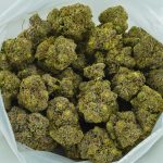 Buy Cannabis Astro Queen AAAA at MMJ Express Online Shop