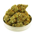 Buy Cannabis Strawberry Amnesia AA at MMJ Express Online Shop