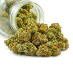 Buy Cannabis Strawberry Amnesia AA at MMJ Express Online Shop