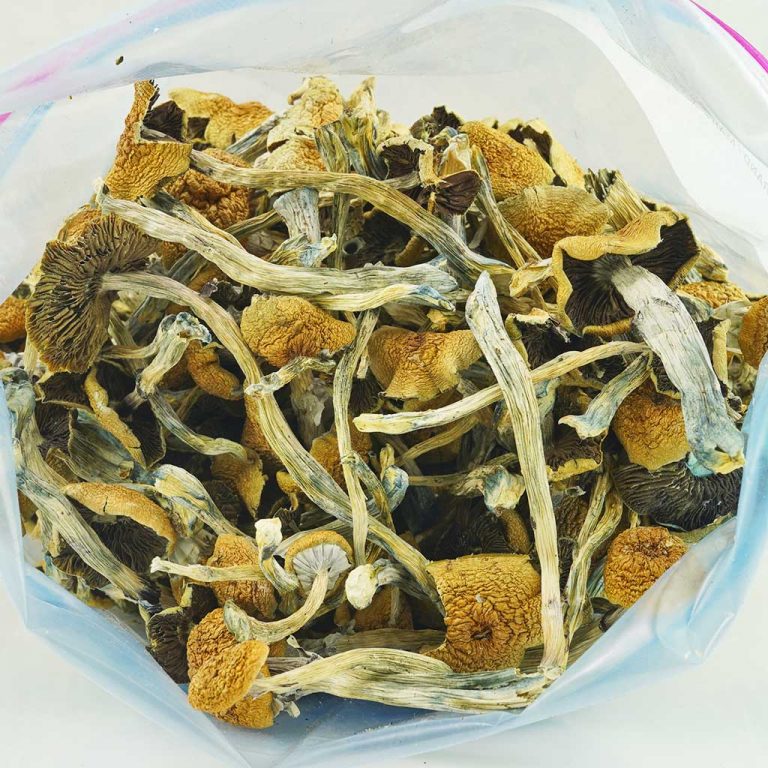 Buy Shrooms - B+ Online - MMJ Express