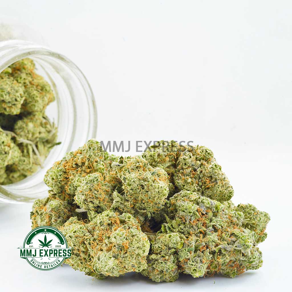 Buy Cannabis Super Silver Haze AAA at MMJ Express Online Shop