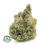 Buy Cannabis  91 Octane AAAA at MMJ Express Online Shop