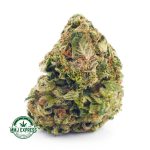 Buy Cannabis El Diablo AA at MMJ Express Online Shop