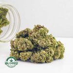Buy Cannabis El Diablo AA at MMJ Express Online Shop