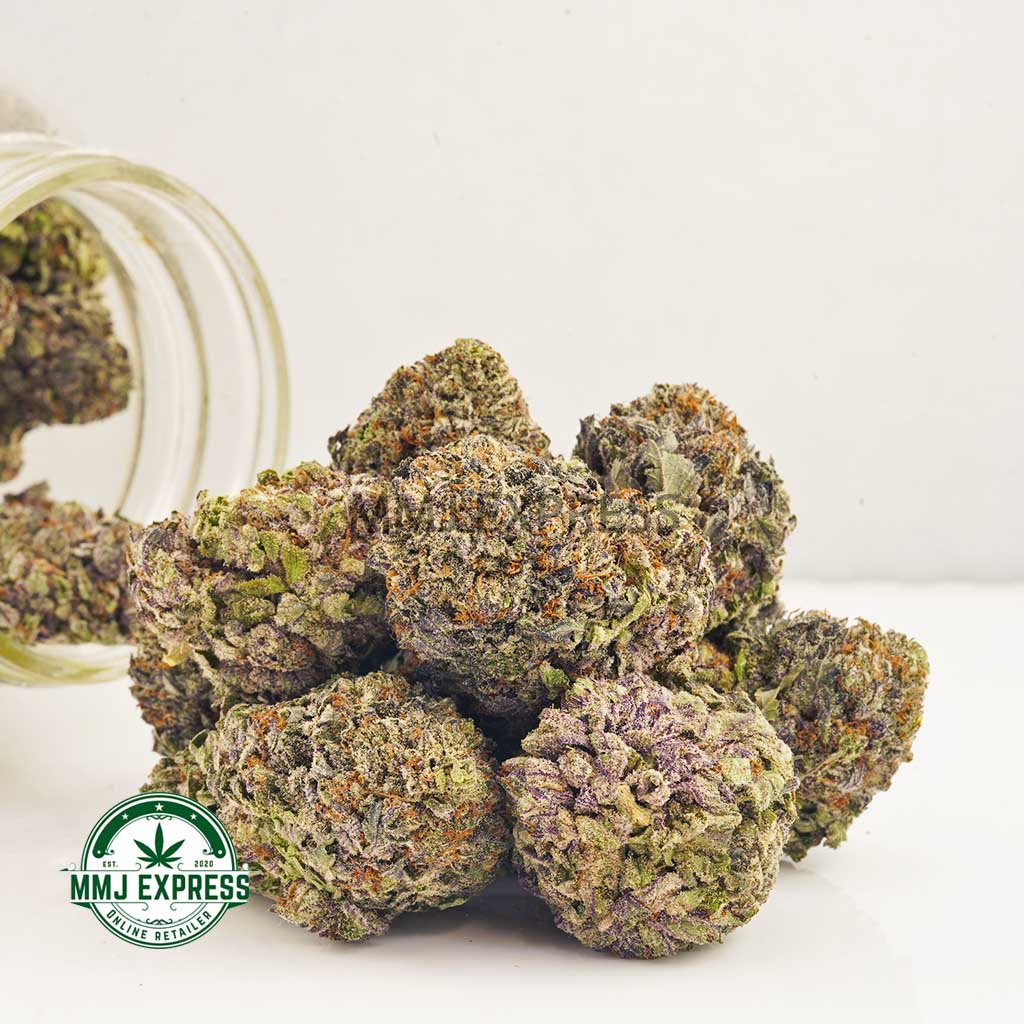 Buy Cannabis Black Domina AAAA at MMJ Express Online Shop