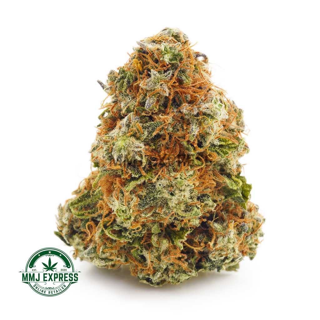 Buy Cannabis Scooby Snacks AA at MMJ Express Online Shop