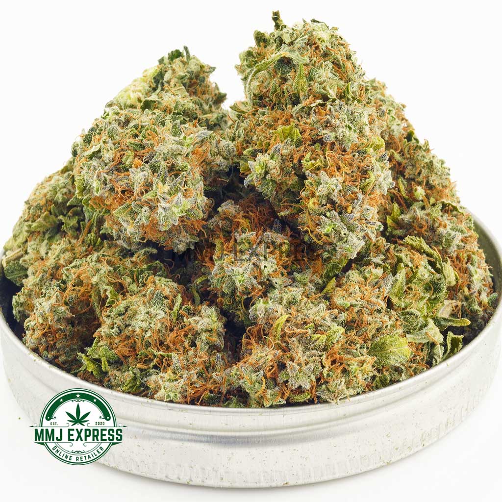 Buy Cannabis Scooby Snacks AA at MMJ Express Online Shop