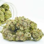Buy Cannabis Clementine Kush AAA at MMJ Express Online Shop