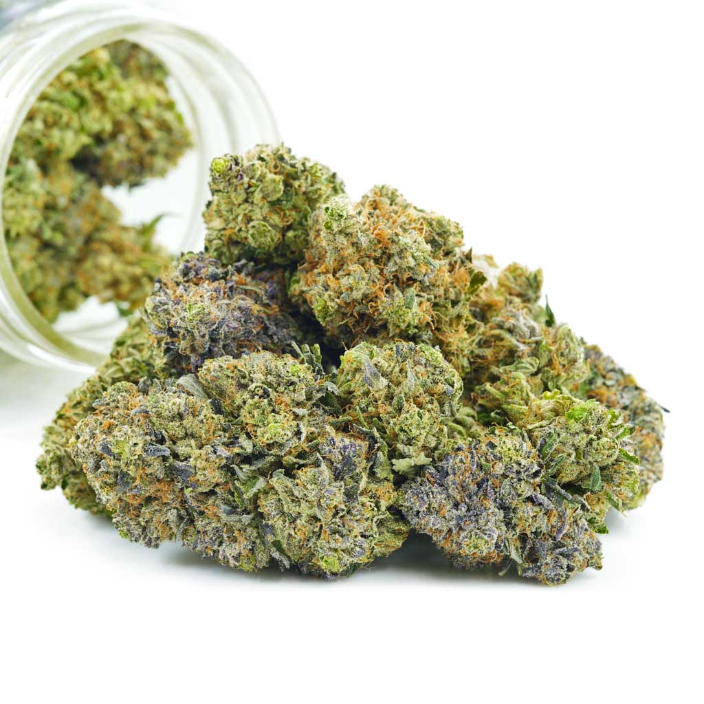 Buy Cannabis Purple Hindu Kush AAAA at MMJ Express Online Shop
