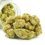 Buy Cannabis Strawberry Cough AA at MMJ Express Online Shop