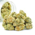 Buy Cannabis Sherbet Cookies AA at MMJ Express Online Shop