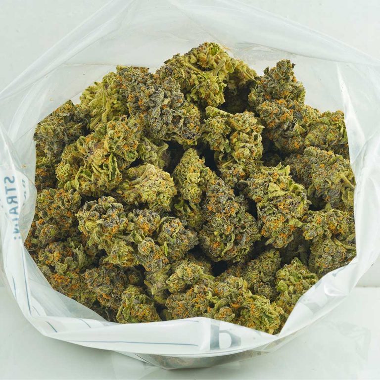 Buy Gelato Cake AAAA Online MMJ Express