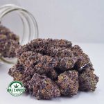 Buy Cannabis Vanilla Ice AAAA at MMJ Express Online Shop