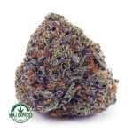 Buy Cannabis Monster Cookies AAAA at MMJ Express Online Shop