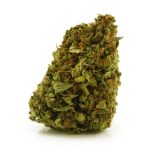 Buy Cannabis Alien Poison AA at MMJExpress Online Shop