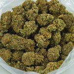 Buy Cannabis The Dutchess AA at MMJExpress Online Shop