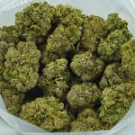 Buy Cannabis King Bubba AAAA Indica at MMJ Express Online Shop