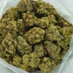 Buy Cannabis Maui Sunset AAAA+ Sativa at MMJ Express Online Shop