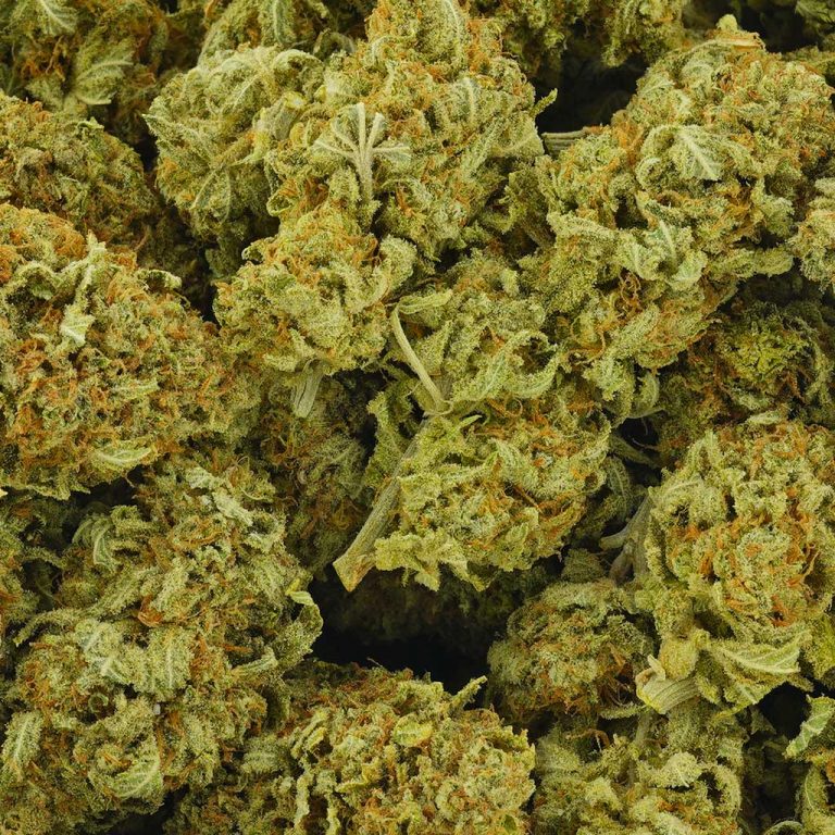 Buy Stardawg Guava AA Online - MMJ Express