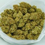 Buy Cannabis Stardawg Guava AA at MMJ Express Online Shop