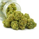 Buy Cannabis Violator Kush AAAA at MMJ Express Online Shop