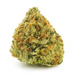 Buy Cannabis XJ-13 AA at MMJ Express Online Shop