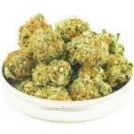 Buy Cannabis XJ-13 AA at MMJ Express Online Shop