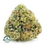 Buy Cannabis Rockstar Tuna AAA at MMJ Express Online Shop