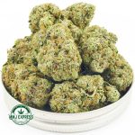 Buy Cannabis Rockstar Tuna AAA at MMJ Express Online Shop