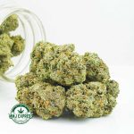 Buy Cannabis Rockstar Tuna AAA at MMJ Express Online Shop