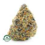 Buy Cannabis Chocolope Kush  AA at MMJ Express Online Shop