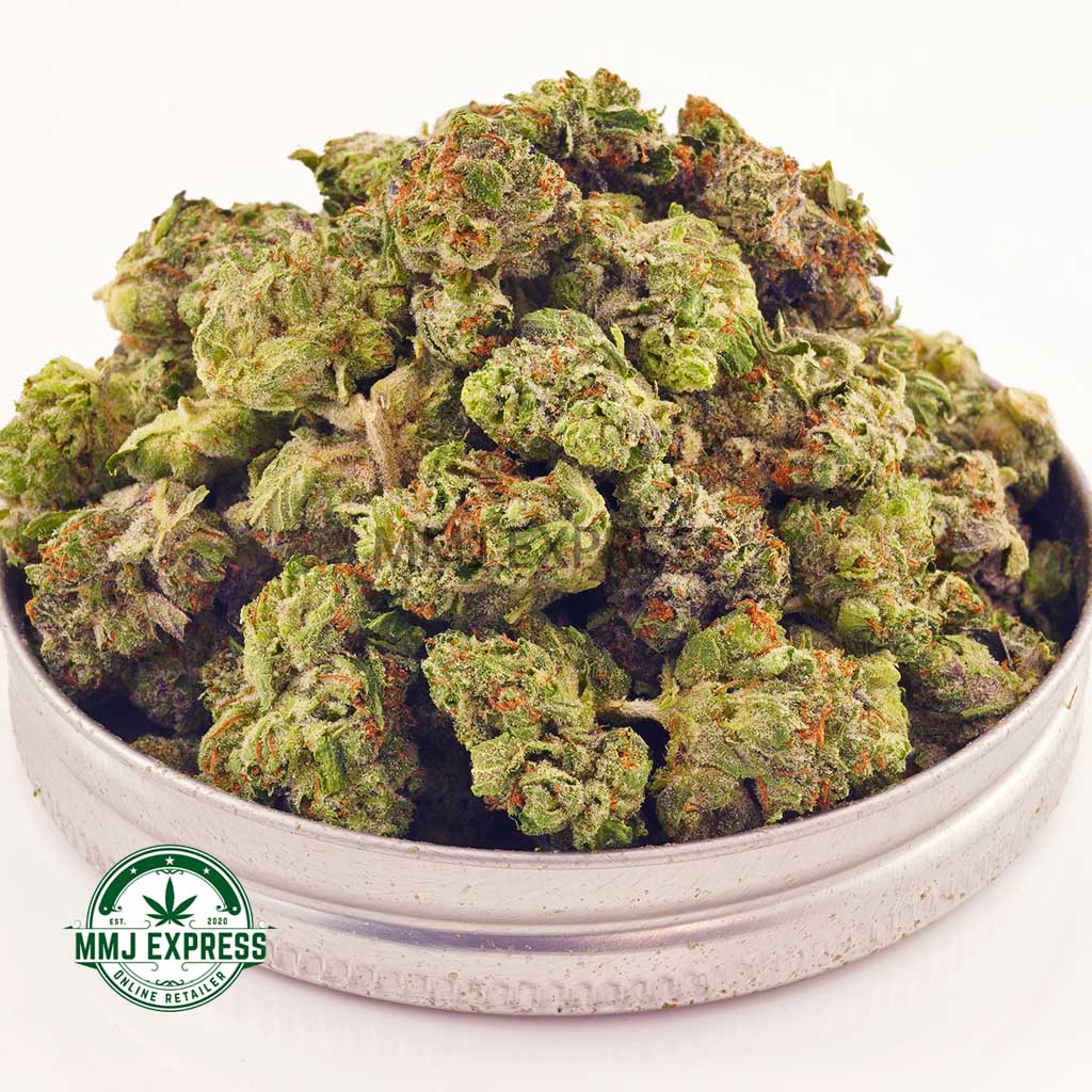 Buy Gas Monkey weed online Canada. AAAA strains. best dispenseries for BC cannabis and hash online. buy online weeds.