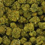 Buy Cannabis Rockstar Kush AA at MMJ Express Online Shop