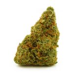 Buy Cannabis Galactic Jack AAAA at MMJ Express Online Shop