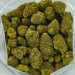 Buy Cannabis OG Kush AA at MMJ Express Online Shop