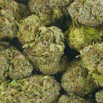 Buy Cannabis Northern Wreck AAAA at MMJ Express Online Shop