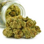 Buy Cannabis Zombie Kush AAA at MMJ Express Online Shop