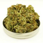 Buy Cannabis Jet Fuel AAA at MMJ Express Online Shop