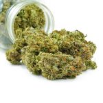 Buy Cannabis Jet Fuel AAA at MMJ Express Online Shop