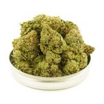 Buy Cannabis Blue Gelato AA at MMJ Express Online Shop