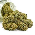 Buy Cannabis UBC Chemo AA at MMJ Express Online Shop