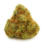 Buy Cannabis Orange Sherbet AA at MMJ Express Online Shop