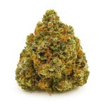 Buy Cannabis Master Yoda AA at MMJ Express Online Shop