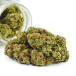 Buy Cannabis Master Yoda AA at MMJ Express Online Shop