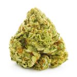 Buy Cannabis Cannalope Haze AAA at MMJ Express Online Shop