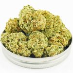 Buy Cannabis Cannalope Haze AAA at MMJ Express Online Shop