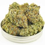 Buy Cannabis King Kong AAAA at MMJ Express Online Shop