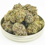 Buy Cannabis Purple Drank Breath AAAA+, Craft at MMJ Express Online Shop