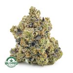 Buy Cannabis Gas Leak AAAA at MMJ Express Online Shop